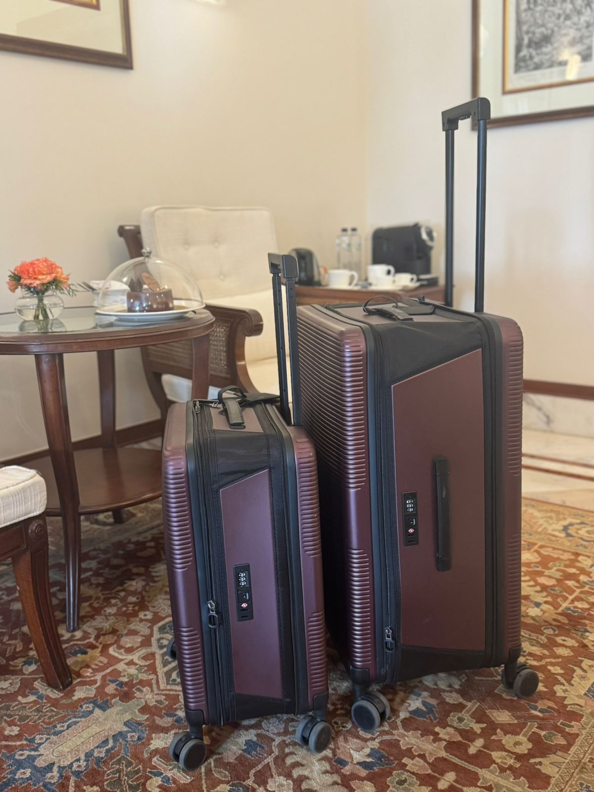 Pack Maletas 20" + 26"