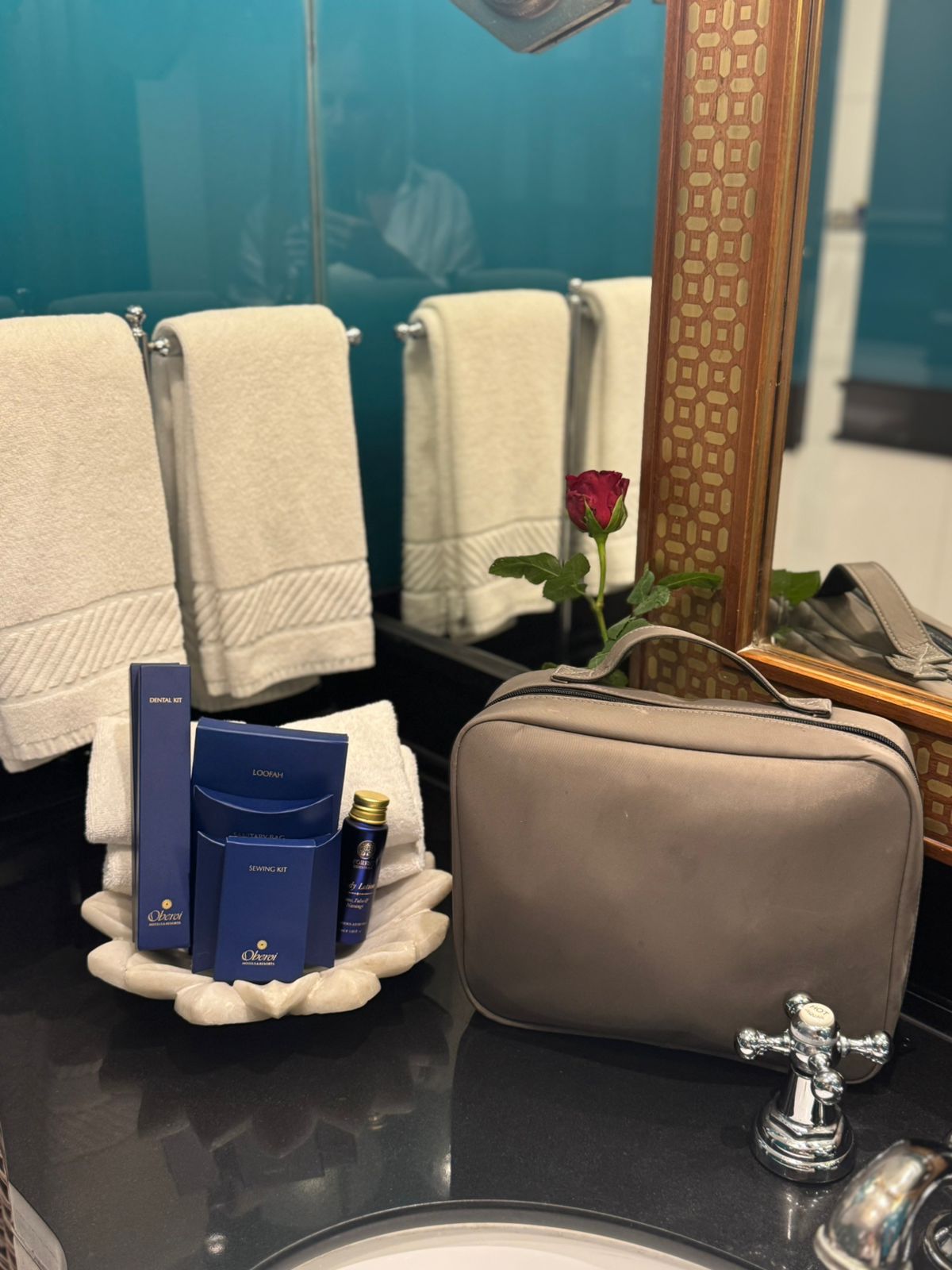 Vanity travel case